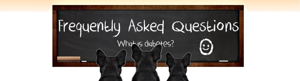 Frequently asked questions about dog diabetes